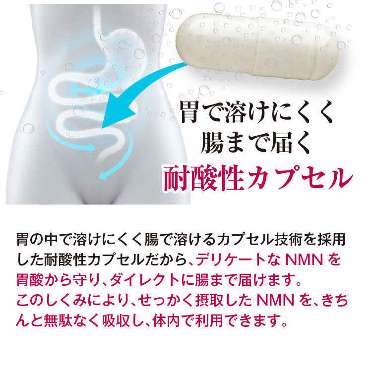 オイロストNMN12000プラチナム